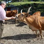 Nyaraló Casa Vazquez Sanxenxo La Lanzada