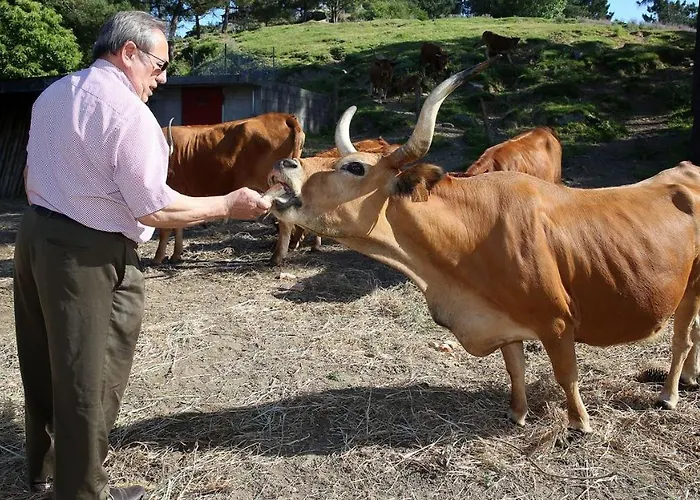 Σπίτι διακοπών Casa Vazquez Sanxenxo La Lanzada