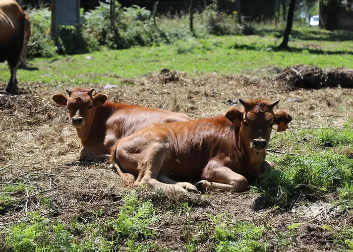 Casa Vazquez Sanxenxo La Lanzada O Grove